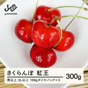 yӂ邳Ɣ[Łz s\  g 3Lȏ Gȏ 100g_CpbN×3 2026NY ߘa8NY R`Y  mm-yb3ld300 Eւ̔zs