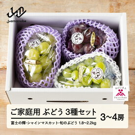 【ふるさと納税】先行予約 ぶどう 富士の輝 シャインマスカット 他1種 3種セット ご家庭用 令和8年産 2026年産 山形県山辺町産 ブラックシャインマスカット フルーツ 果物 送料無料 bg-bu3xk1800