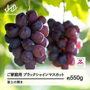 yӂ邳Ɣ[Łz ss\t2026N R`RӒY ƒp ubNVC}XJbg (550g) xm̋P Ԃǂ 1[ ߘa8NY 2026NY ʕ t[c 2026N9{珇 