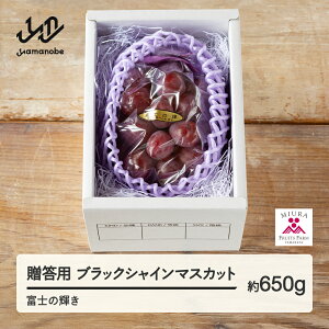 yӂ邳Ɣ[Łz ss\t2026N R`RӒY p ubNVC}XJbg i650gj xm̋P Ԃǂ 1[ ߘa8NY 2026NY ʕ t[c2026N9{珇 