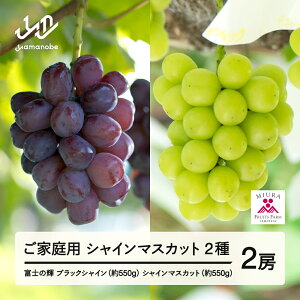 yӂ邳Ɣ[Łzs\ Ԃǂ xm̋P 550g VC}XJbg 550g Zbg ƒp ߘa8NY 2026NY R`RӒY ubNVC}XJbg t[c ʕ  bg-bufsk1