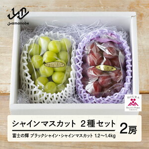 yӂ邳Ɣ[Łzs\ Ԃǂ xm̋P 650g VC}XJbg 600g Zbg ߘa8NY 2026NY R`RӒY ubNVC}XJbg t[c ʕ  bg-bufsx1250