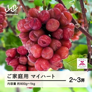 yӂ邳Ɣ[Łz_ƎҎx s\ Ԃǂ }Cn[g 2`3[Zbg ƒp ߘa8NY 2026NY R`RӒY t[c ʕ  bg-bumxk1000