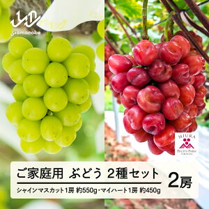 yӂ邳Ɣ[Łz_ƎҎx s\ Ԃǂ VC}XJbg 550g }Cn[g 450g Zbg ƒp ߘa8NY 2026NY R`RӒY t[c ʕ  bg-busmk1050