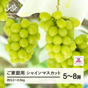 yӂ邳Ɣ[Łzs\ Ԃǂ VC}XJbg 5`8[Zbg ƒp ߘa7NY 2025NY R`RӒY t[c ʕ  bg-busxk3200