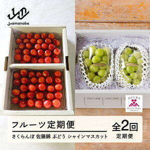 yӂ邳Ɣ[Łzt[c   Ԃǂ VC}XJbg v2 ߘa8NY 2026NY R`RӒY t[c ʕ  bg-ftssx2