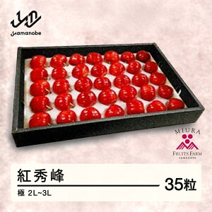 【ふるさと納税】≪先行予約≫ 贈答用 2026年 山形県産 令和8年産 さくらんぼ 紅秀峰 極 35粒 2L〜3L 化粧箱詰め 送料無料 ※沖縄・離島への配送不可 bg-bski35