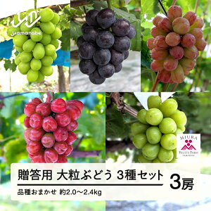 yӂ邳Ɣ[Łz s\②p 2025NR`Y i킨܂ 嗱Ԃǂ3Zbg 2.0`2.4kgi3[j 2025N9{珇 Ԃǂ uhE  }XJbg 嗱 Ȃ  F21A