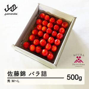 yӂ邳Ɣ[Łzss\t2026N R`Y ߘa8NY   ol 500g G M`L  Eւ̔zs