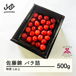 yӂ邳Ɣ[Łzss\t2026N R`Y ߘa8NY   ol 500g G Lȏ  F20A-897 Eւ̔zs