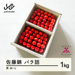 yӂ邳Ɣ[Łzss\t2026N R`Y ߘa8NY   ol1kg G M`L  F20A-898 Eւ̔zs