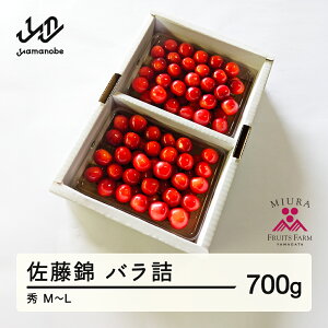 yӂ邳Ɣ[Łzss\t2026N R`Y ߘa8NY   ol 700g G M`L  F20A-918 Eւ̔zs