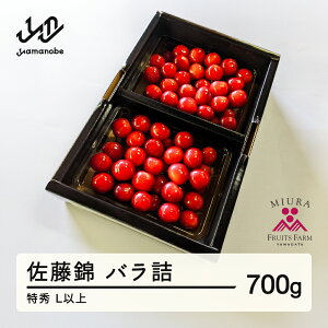 yӂ邳Ɣ[Łzss\t2026N R`Y ߘa8NY   ol 700g G Lȏ  F20A-919 Eւ̔zs
