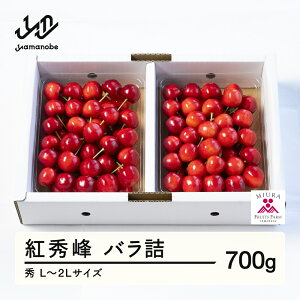 yӂ邳Ɣ[Łz ss\t2026N R`Y ߘa8NY  gG ol 700g G L`2L  F20A-921 Eւ̔zs