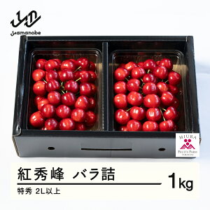 yӂ邳Ɣ[Łzss\t2026NR`Y ߘa8NY  gG ol1kg G 2Lȏ  F20A-925 Eւ̔zs