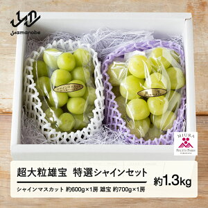 yӂ邳Ɣ[Łz ss\t2026N R`RӒY 嗱 YƓIVC}XJbgZbg 2026N9{珇  F21A-240