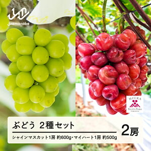 yӂ邳Ɣ[Łz ss\t2026N R`RӒY }Cn[gƓIVC}XJbgZbg 2026N10{珇  F21A-241