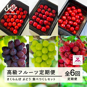 yӂ邳Ɣ[Łzut[c6v@R`RӒY@ځԂǂ@HׂZbg ߘa8NY 2026NY R`RӒY t[c ʕ  bg-ftsbx6