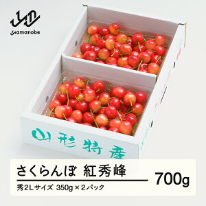 yӂ邳Ɣ[Łzss\t gG G2LTCY 700g (350g×2) ol 2026NY ߘa8NY R`Y  ns-bss2b700
