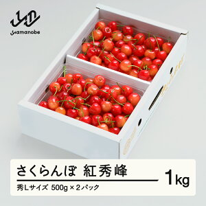 yӂ邳Ɣ[Łzss\t gG GLTCY ol 1kg (500g×2) 2026NY ߘa8NY R`Y  ns-bsslb1