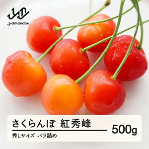 yӂ邳Ɣ[Łz gG 500g ol GL 2026NY ߘa8NY R`Y  ns-bsslb500