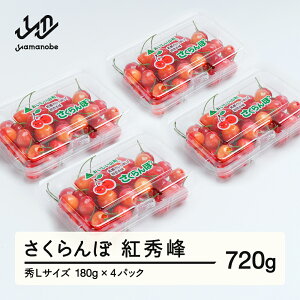yӂ邳Ɣ[Łzss\t gG GLTCY 720g (180gx4pbN) t[hpbN 2026NY ߘa8NY R`Y  ns-bsslp800
