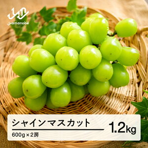 yӂ邳Ɣ[ŁzԂǂ VC}XJbg Gi 2[(600g×2) ߘaNY 2025NY R`Y ʕ  ns-busmx1200Eւ̔zs