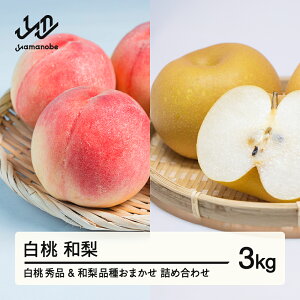 yӂ邳Ɣ[Łzss\t  Gi a lߍ킹 i킨܂ ϔ 3kg t[c ʕ A\[g 2026NY ߘa8NY R`Y  ns-fshnx3Eւ̔zs