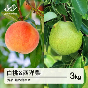 【ふるさと納税】《先行予約》2026年 山形県産 白桃 & 西洋梨 詰め合わせ 秀品 品種おまかせ もも 約3kg 令和8年産 送料無料 ※沖縄・離島への配送不可 ns-fshyx3