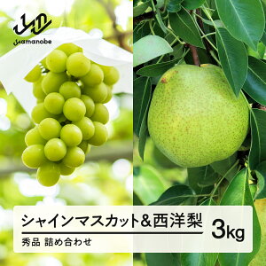 yӂ邳Ɣ[Łzss\tVC}XJbg Gi & m lߍ킹 3kg ߘa8NY 2026NY ʕ  m  Eւ̔zs@ns-fssyx3