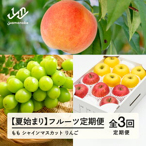 �y�ӂ邳�Ɣ[�Łz�y��s�\��z�y�Ďn�܂�z�t���[�c����� �S3�� 2026�N�Y �ߘa8�N�Y ���� �Ԃǂ� �V���C���}�X�J�b�g ��� �T���ӂ� �V�i�m�S�[���h �ʕ� �������� ns-ft3xx-sm ������y�ї�