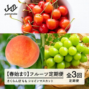 �y�ӂ邳�Ɣ[�Łz�y��s�\��z�y�t�n�܂�z�t���[�c����� �S3�� 2026�N�Y �ߘa8�N�Y �������� ������ ���� �Ԃǂ� �V���C���}�X�J�b�g �ʕ� �������� ns-ft3xx-sp ������y�ї����ւ̔z���s