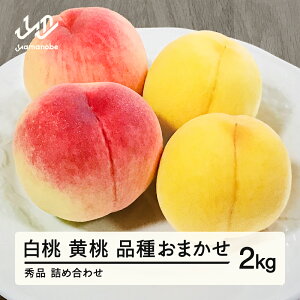 yӂ邳Ɣ[Łzs\  L܉ Gi i킨܂ ϔ 2kg ߘa7NY 2025NY R`Y ʕ  ns-mohot2 Eւ̔zs