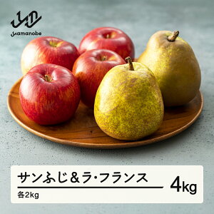 yӂ邳Ɣ[Łzss\t2025N R`Y  Tӂ 2kg EtX 2kg v4kg ߘa7NY tX S ь Zbg  Eւ̔zs ns-rilax4