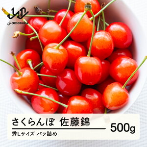 yӂ邳Ɣ[Łzss\t  GLTCY v[g Mtg ol 500g 2026NY ߘa8NY R`Y  ns-snslb500