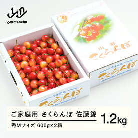 【ふるさと納税】《先行予約》 さくらんぼ 佐藤錦 秀Mサイズ ご家庭用 バラ詰め 1.2kg(600g×2箱) 2026年産 令和8年産 山形県産 送料無料 ns-snsmb1200