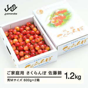 yӂ邳Ɣ[Łzss\t   GMTCY ƒp ol 1.2kg(600g×2) 2026NY ߘa8NY R`Y  ns-snsmb1200