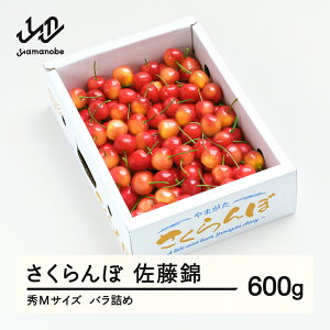 yӂ邳Ɣ[Łzys\z  6{`{ GMTCY ol 600g(600g×1) 2026NY R`Y  TN{ ns-snsmb600