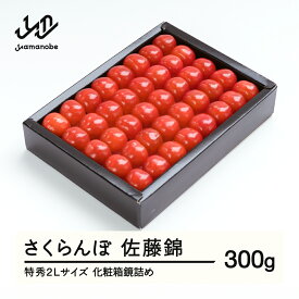 【ふるさと納税】《先行予約》さくらんぼ 佐藤錦 特秀2Lサイズ プレゼント ギフト 化粧箱鏡詰め 300g 2026年産 令和8年産 山形県産 送料無料 ns-snt2x300