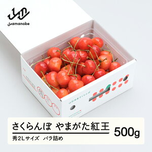 yӂ邳Ɣ[Łzss\t  g G2LTCY ol 500g 2026NY ߘa8NY R`Y  ns-ybs2b500