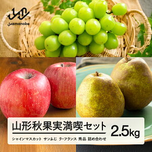 yӂ邳Ɣ[Łzss\tR`HʎiZbg VC}XJbg Tӂ EtX Gi lߍ킹 2.5kg ϔ 2025NY ߘa7NY  Eւ̔zs ns-