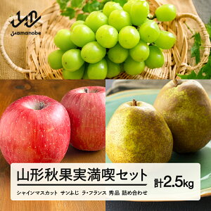 yӂ邳Ɣ[Łzss\tR`HʎiZbg VC}XJbg Tӂ EtX Gi lߍ킹 2.5kg ϔ 2025NY ߘa7NY  Eւ̔zs ns-