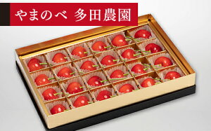 yӂ邳Ɣ[Łz ss\t 2026N R`Y ʍgG ݂є24 ܂̂בckŶ TN{  F20A-040