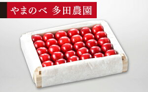 �y�ӂ邳�Ɣ[�Łz�s��s�\��t2026�N �R�`���Y ���I�u�^�Ẵ��r�[�g�P�v�˔��l�� ��300g ��܂̂ב��c�k���Y�̂������� �M�t�g ���� ���蕨 �������� F20A-052