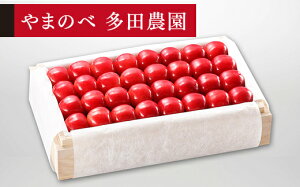 �y�ӂ邳�Ɣ[�Łz�s��s�\��t2026�N �R�`���Y ���I�_�C�A�i�u���C�g �˔��l�� ��700g 2L�ȏ� ��܂̂ב��c�k���Y�̂������� �M�t�g ���� ���蕨 �������� F20A-057