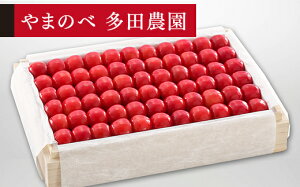 �y�ӂ邳�Ɣ[�Łz �s��s�\��t2026�N �R�`���Y ���I������ �˔��l�� ��1100g ��܂̂ב��c�k���Y�̂������� �T�N�����{ �������� F20A-060