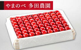 【ふるさと納税】《先行予約》2026年 山形県産 特選「真夏のルビー紅姫」桐箱詰め 約1100g やまのべ多田耕太郎のさくらんぼ ギフト 贈答 贈り物 送料無料 F20A-062