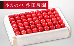 �y�ӂ邳�Ɣ[�Łz�s��s�\��t2026�N �R�`���Y ���I�_�C�A�i�u���C�g �˔��l�� ��1100g 2L�ȏ� ��܂̂ב��c�k���Y�̂������� �M�t�g ���� ���蕨 �������� F20A-063