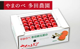 【ふるさと納税】〈先行予約〉 2026年 山形県産 さくらんぼ 真夏のルビー紅姫 約500g L~2L 本詰め やまのべ多田耕太郎のさくらんぼ 《2026年7月中旬頃~順次発送》 多田農園 予約 サクランボ 紅姫 フルーツ くだもの 果物 デザート 山形県 山辺町 送料無料 F20A-786