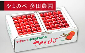 【ふるさと納税】《先行予約》2026年 山形県産 「真夏のルビー紅姫」 本詰 約1kg L~2L やまのべ多田耕太郎のさくらんぼ 送料無料 F20A-792